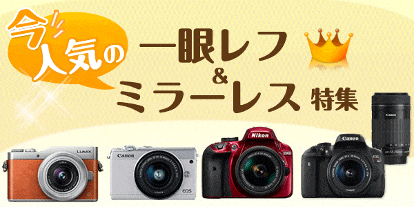 一眼レフ・ミラーレスカメラ 初心者おすすめ機種特集 | カメラのキタムラ