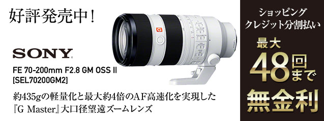 スマホ/家電/カメラSONY 望遠ズーム  SEL70-200 F2.8 GM OSS